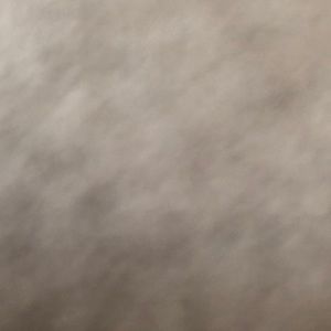 Meet your Posher, Gabby